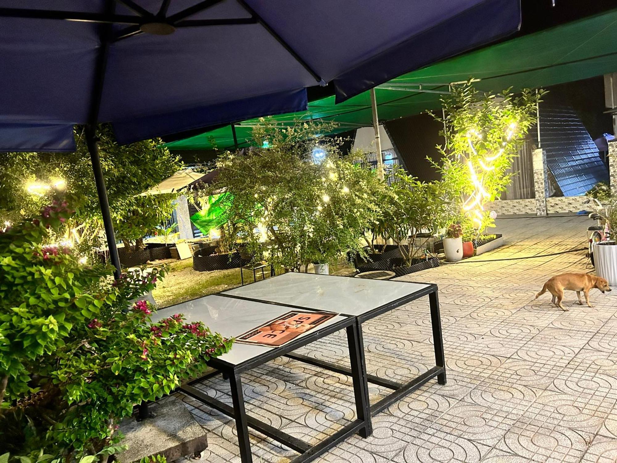 Homestay A Au Family 빈차우 외부 사진
